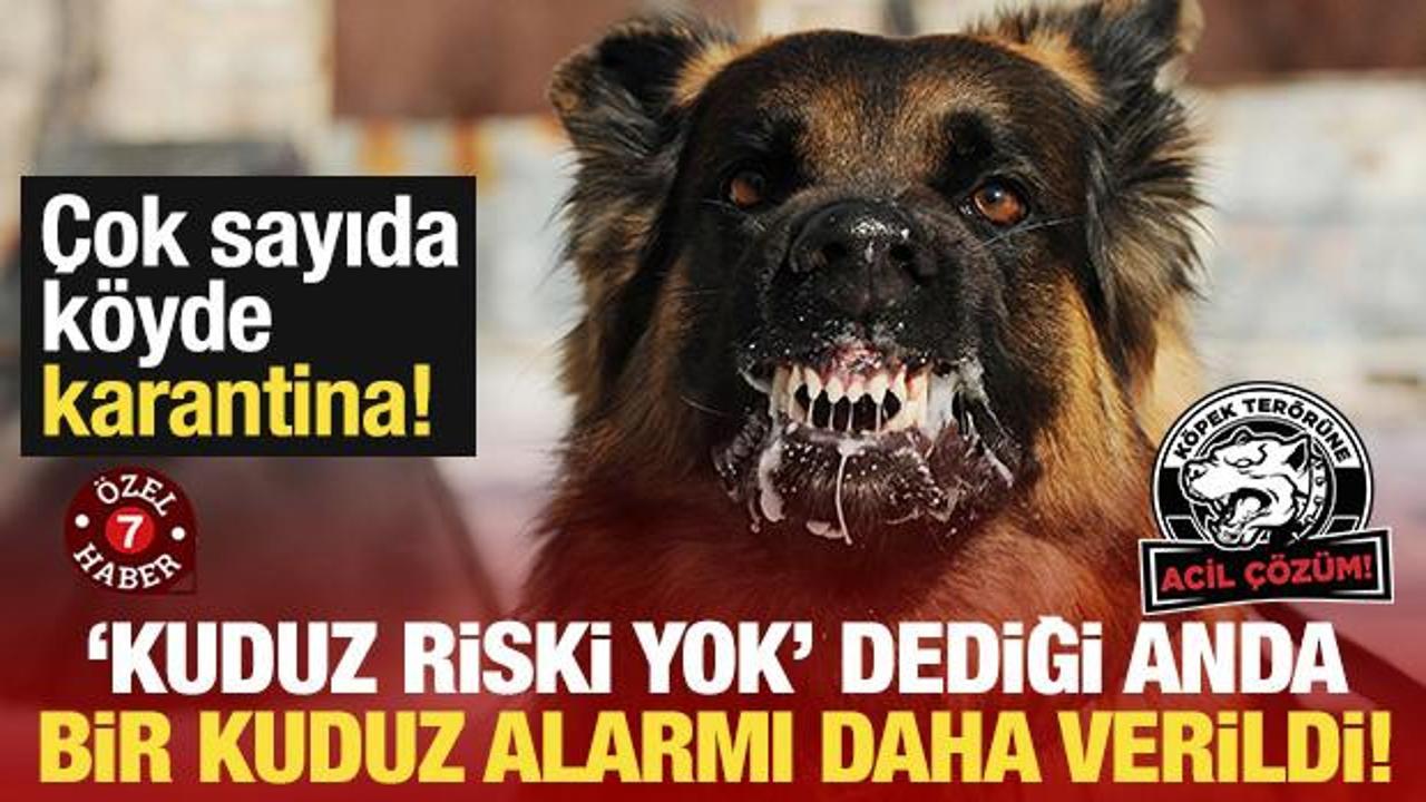 "Kuduz riski yok" dediği anda bir kuduz alarmı daha verildi! Birçok köy karantinaya alındı