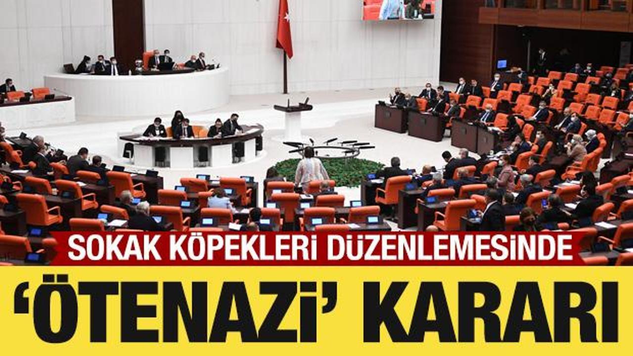 Sokak köpekleri düzenlemesinde 'ötanazi' ibaresi çıkarıldı