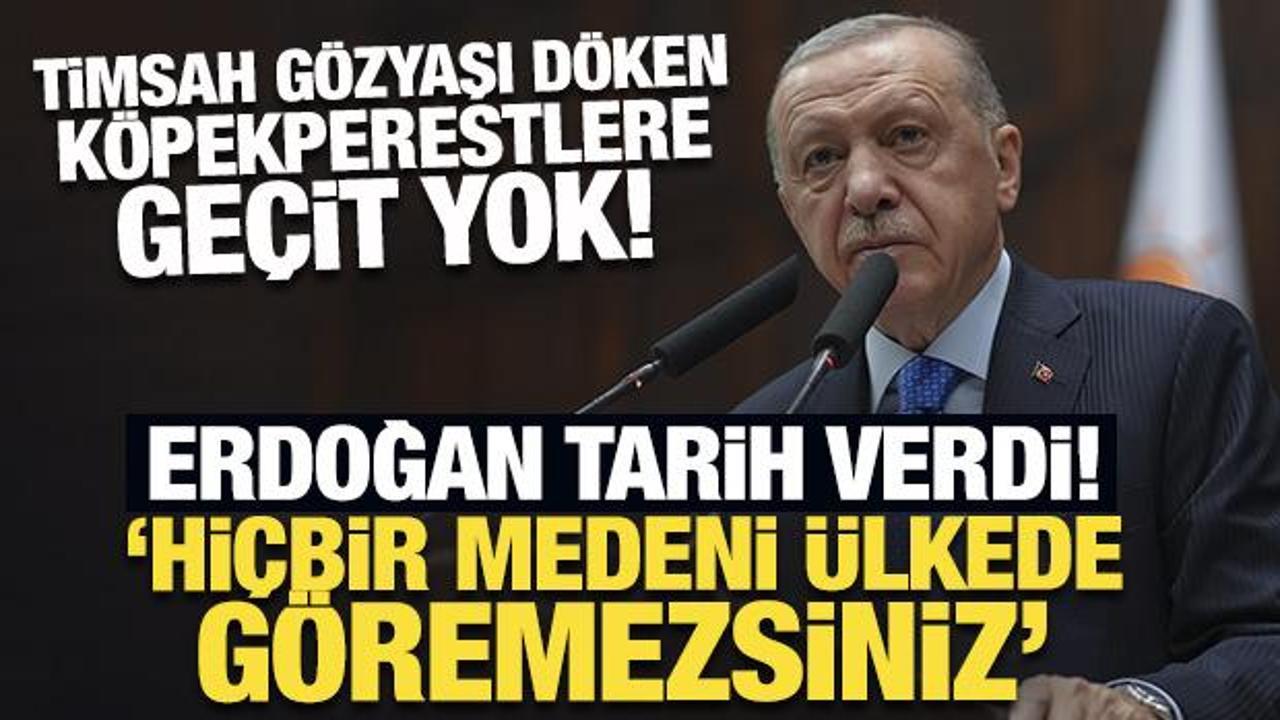 Son Dakika... Erdoğan tarih verdi: Timsah gözyaşı döken köpekperestlere geçit yok!