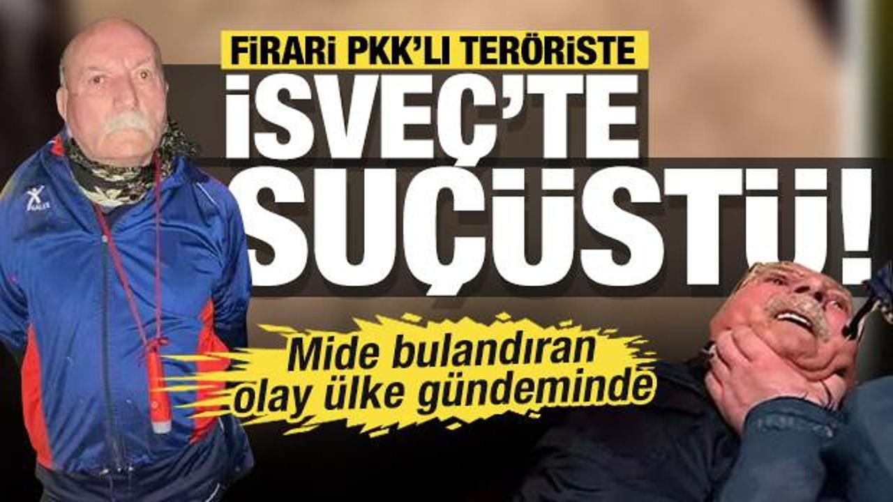 Firari PKK'lı terörist Senanik Öner'e kaçtığı İsveç'te atlara tecavüzden hapis cezası!