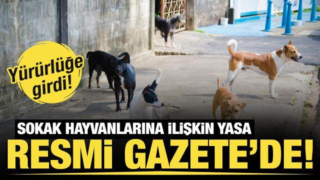 Sahipsiz hayvanlara y&ouml;nelik d&uuml;zenlemeler i&ccedil;eren kanun Resmi Gazete'de