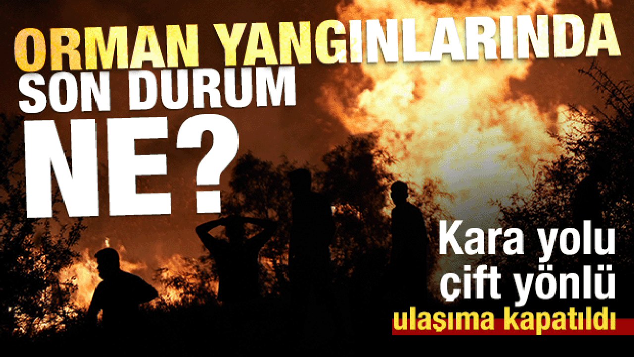 Alevlerle canhıraş mücadele! Orman yangınlarında son durum ne?