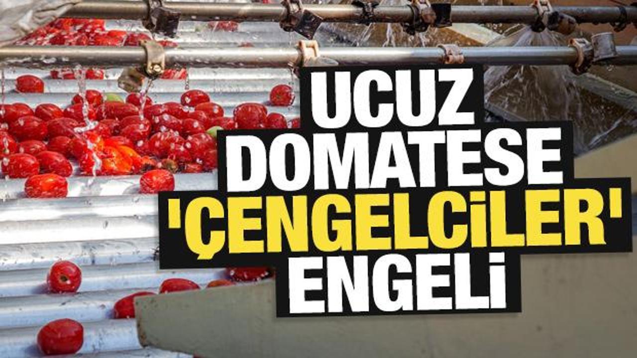 Ucuz domatese '&Ccedil;engelciler' engeli