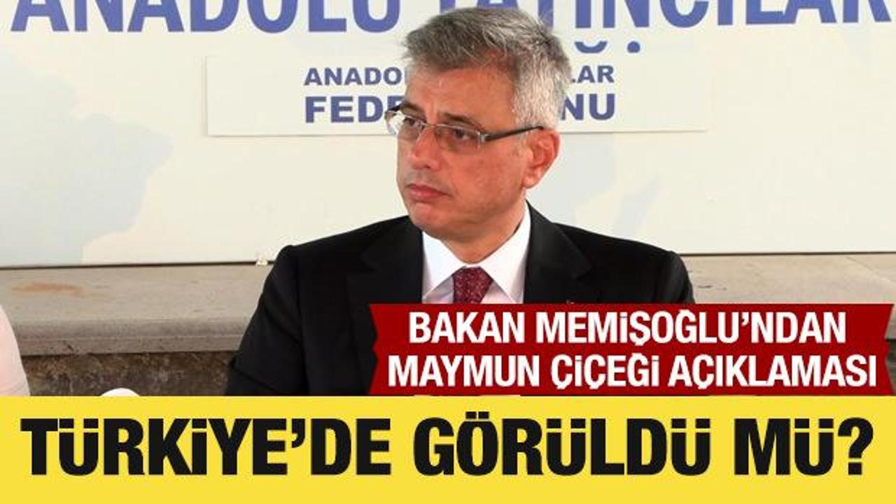 Bakan Memişoğlu'ndan maymun çiçeği açıklaması: Pandemi olmaz