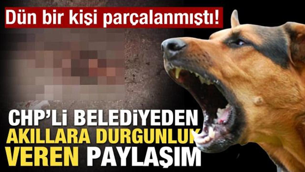 D&uuml;n bir kişi par&ccedil;alanmıştı! CHP'li belediyeden akıllara durgunluk veren paylaşım