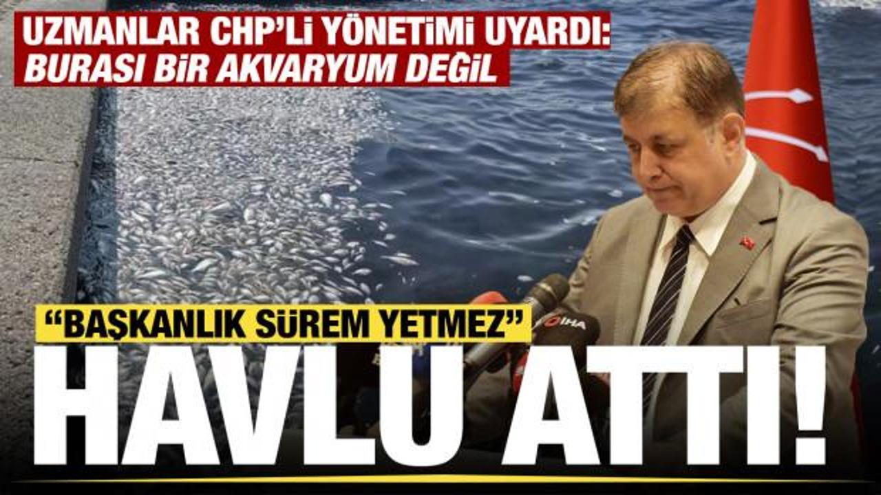 CHP'li Başkan Cemil Tugay havlu attı: 5 yılın sonunda Körfez'de yüzmeyi vaat edemem