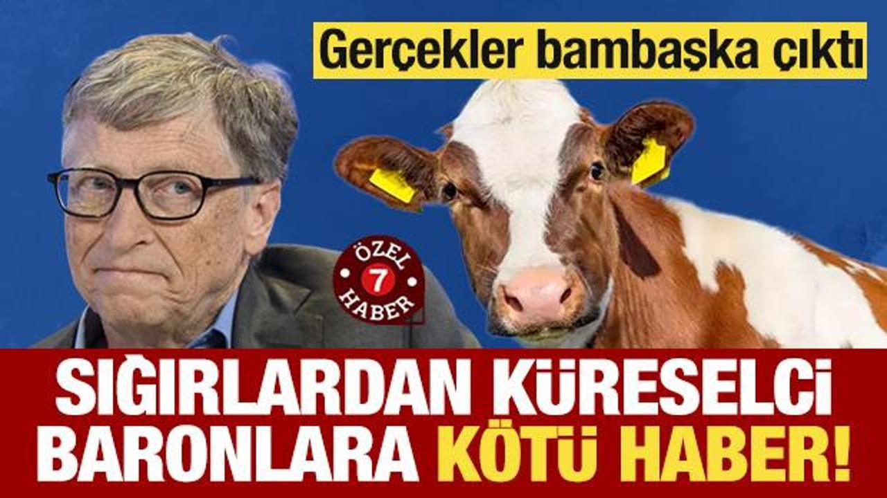 Sığırlardan küreselci baronlara kötü haber! Gerçekler bambaşka çıktı