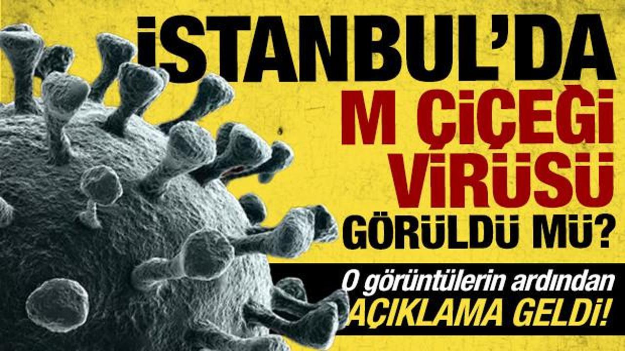 M çiçeği virüsü İstanbul'da görüldü mü? Açıklama geldi