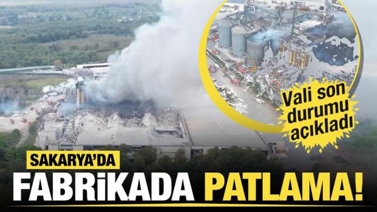 Son dakika... Hendek il&ccedil;esinde fabrikada patlama!