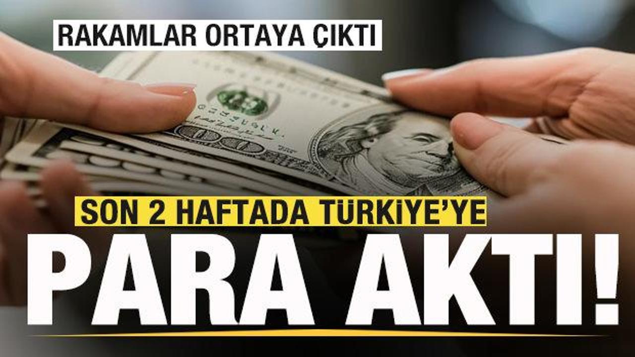 Son 2 haftada T&uuml;rkiye'ye para aktı! Rakamlar ortaya &ccedil;ıktı
