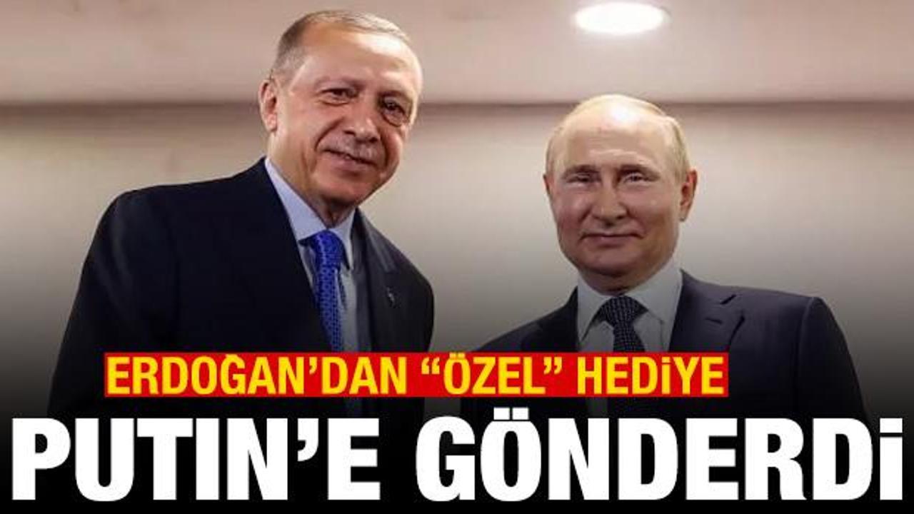 Erdoğan'dan Putin'e &ouml;zel doğum g&uuml;n&uuml; hediyesi