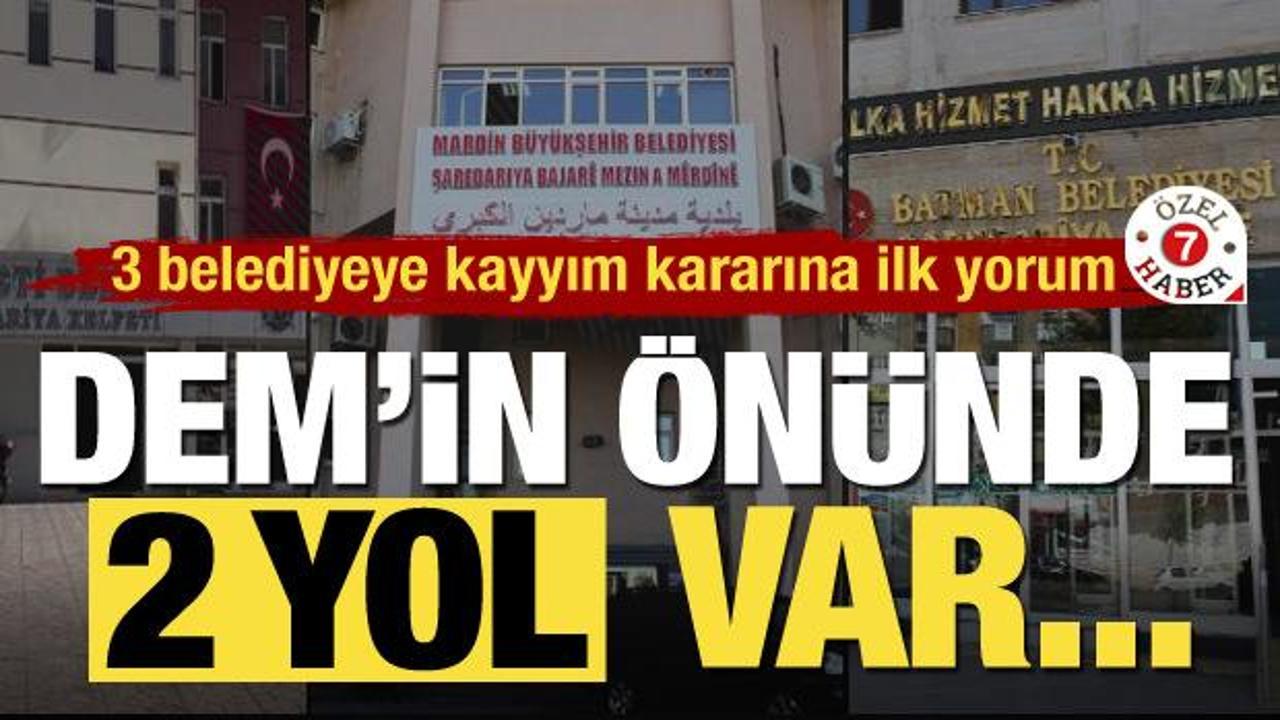DEM Parti'li başkanlara kayyım kararına ilk yorum: '&Ouml;nlerinde 2 yol var...'