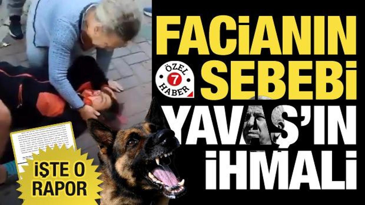 Başıboş k&ouml;pek faciası g&ouml;z g&ouml;re g&ouml;re gelmiş! ABB'nin ihmalkarlığı Sayıştay raporunda