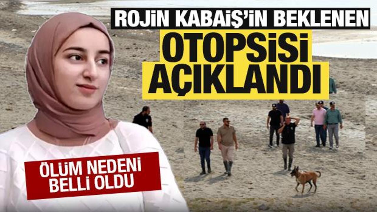 Van'da cansız bedeni bulunan Rojin'in otopsi raporu