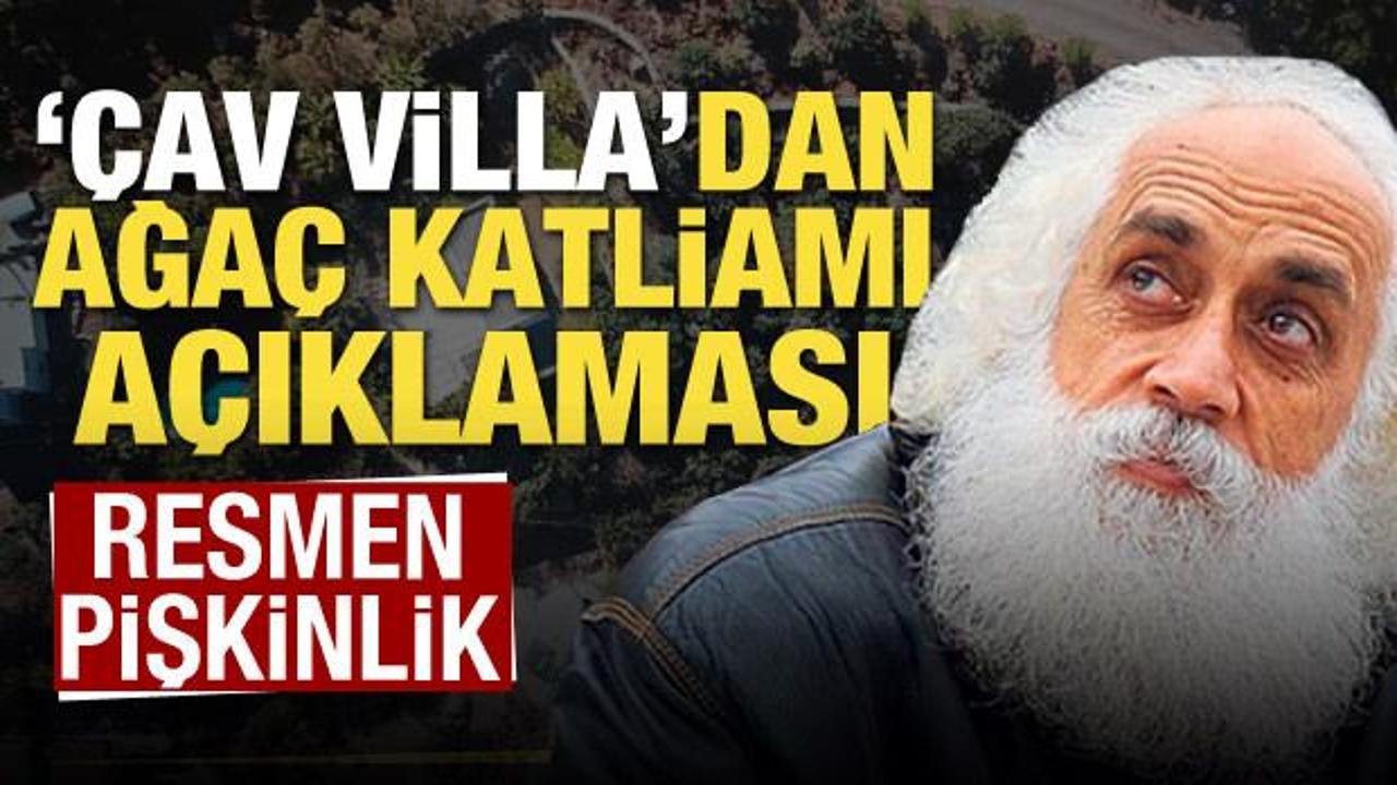 'Çav villa' Suavi'den ağaç katliamı açıklaması! Resmen pişkinlik