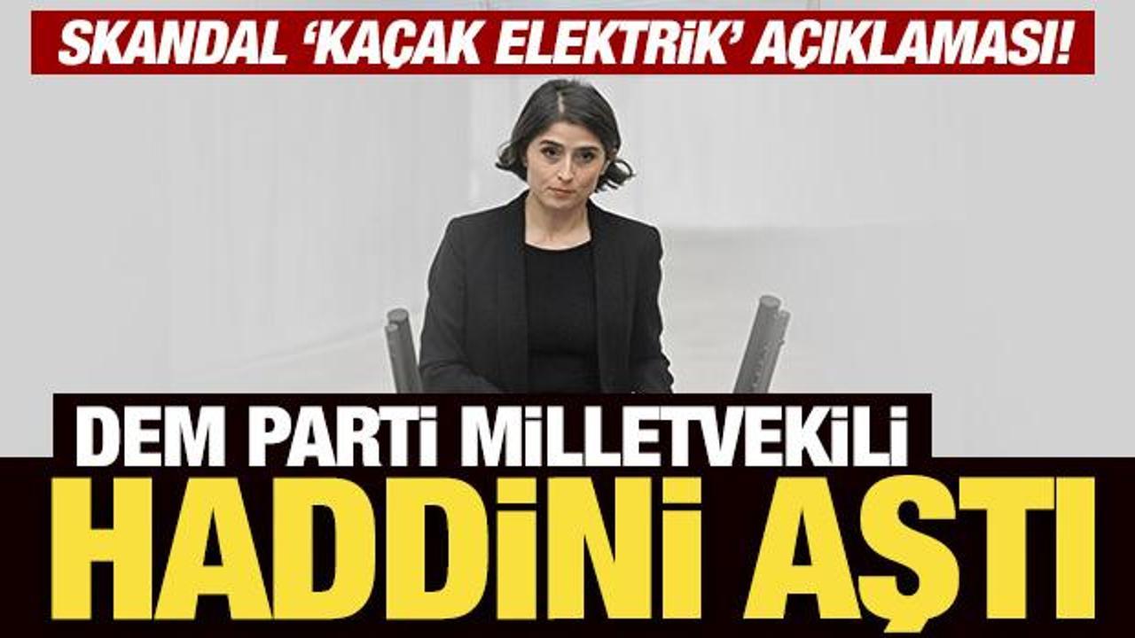 DEM Parti Milletvekili haddini aştı: Skandal 'ka&ccedil;ak elektrik' a&ccedil;ıklaması!