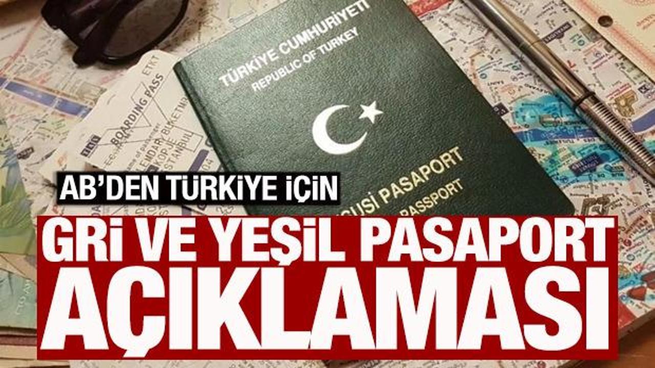 AB Türkiye Delegasyonu'ndan 'yeşil ve gri pasaport' açıklaması