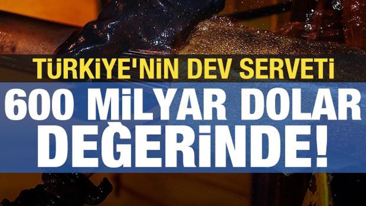 T&uuml;rkiye'nin dev serveti: 600 milyar dolar değerinde!