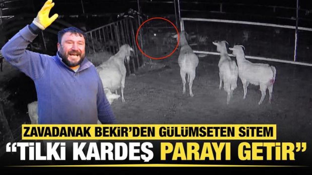 Zavadanak Bekir'den g&uuml;l&uuml;mseten sitem "Tilki kardeş, horozun parasını getir"