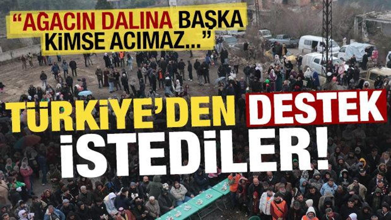 T&uuml;rkiye'den destek istediler: Ağacın dalına başka kimse acımaz!