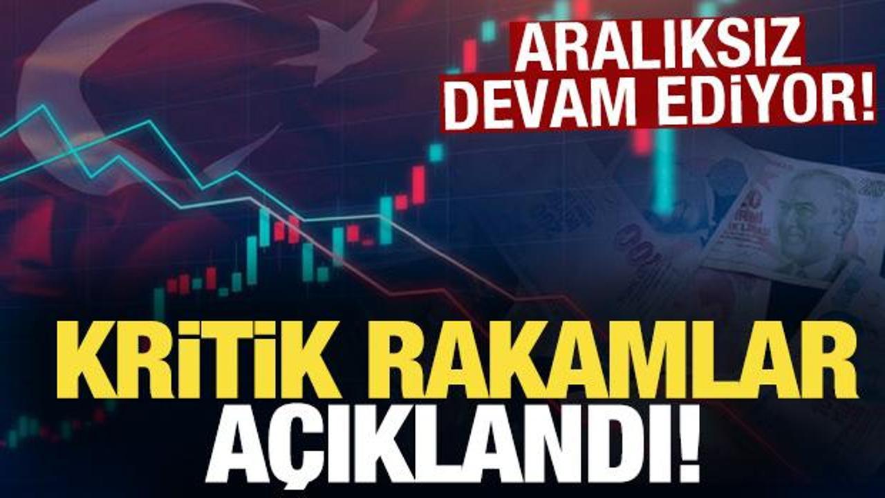 T&uuml;rkiye ekonomisinin 2024 b&uuml;y&uuml;me oranı a&ccedil;ıklandı
