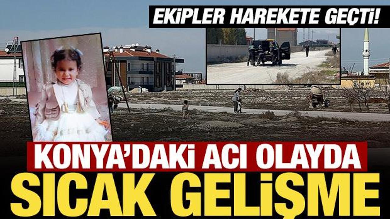 Konya'da köpeklerin saldırdığı Rana'nın ölümüne ilişkin soruşturma başlatıldı