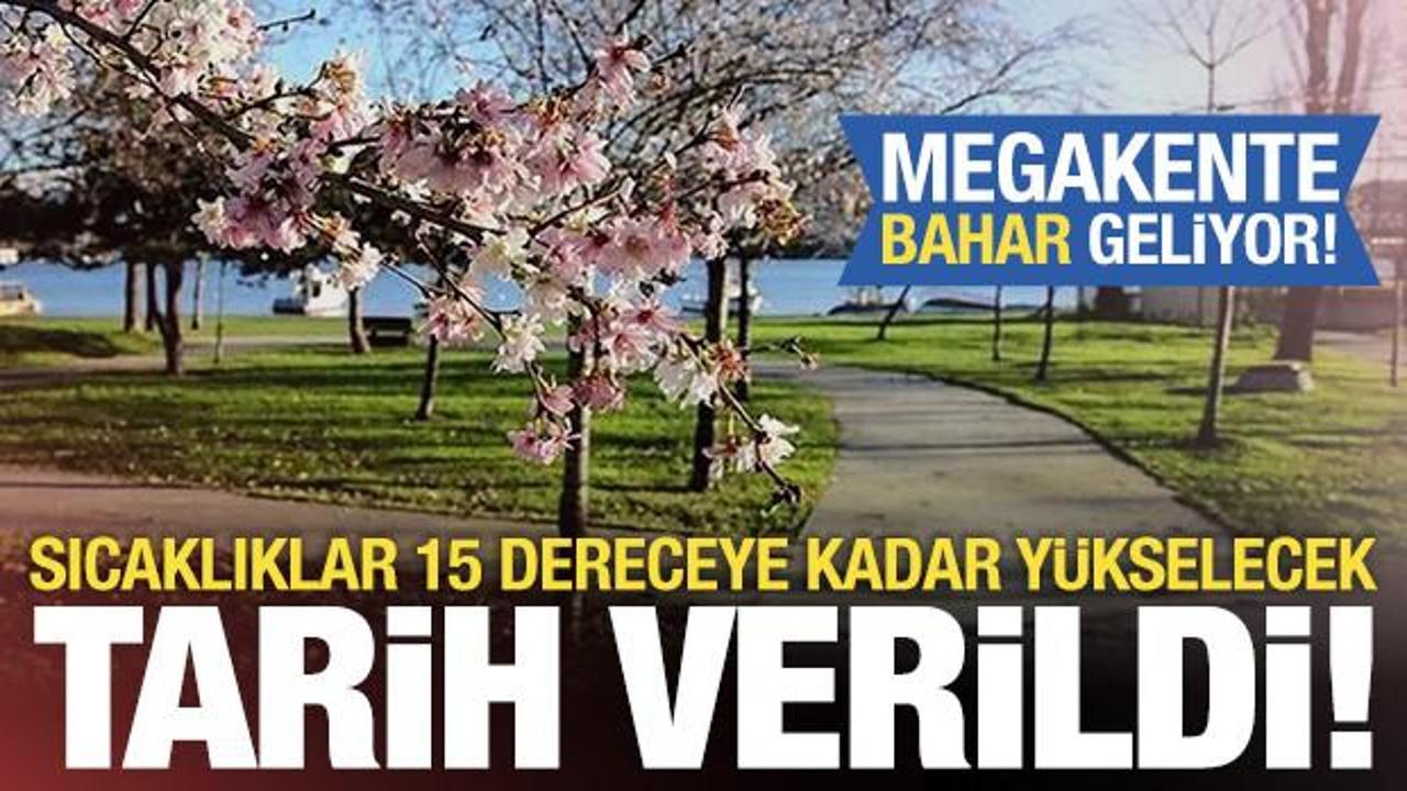 Son dakika... Tarih verildi: İstanbul'a bahar geliyor! 15 dereceye kadar y&uuml;kselecek