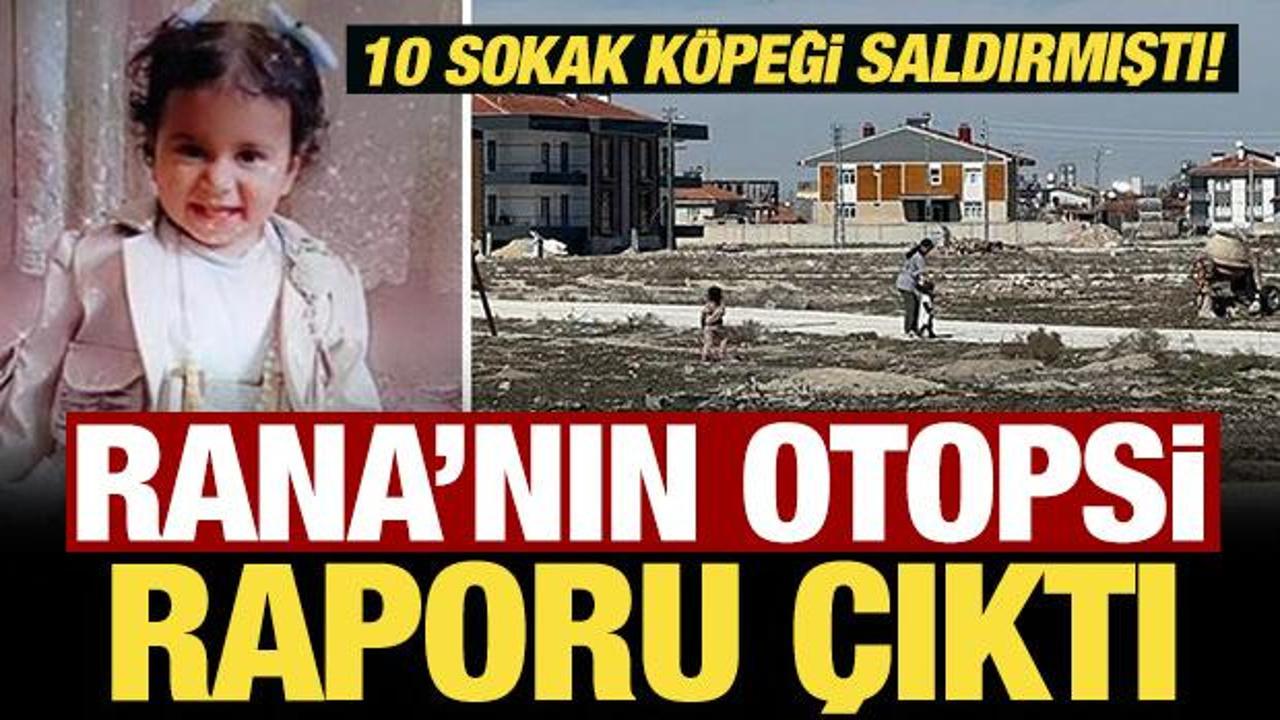 10 sokak k&ouml;peğinin saldırısında hayatını kaybetmişti! Rana'nın otopsi raporu &ccedil;ıktı