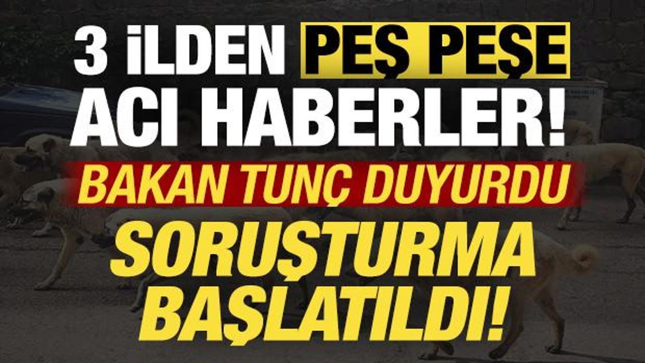 Bakan Tunç açıkladı: Peş peşe gelen acı haberlerin ardından soruşturma!