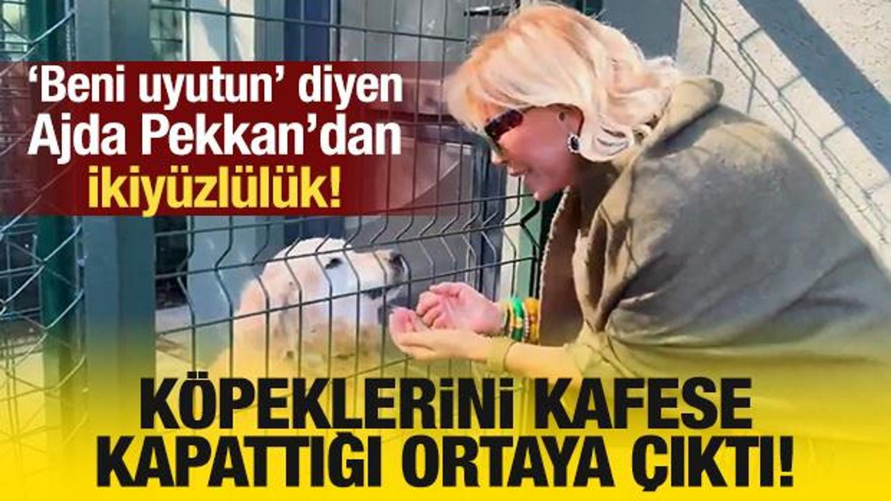 'Beni de uyutun' diyen Ajda Pekkan'ın köpeklerini kafese kapattığı ortaya çıktı