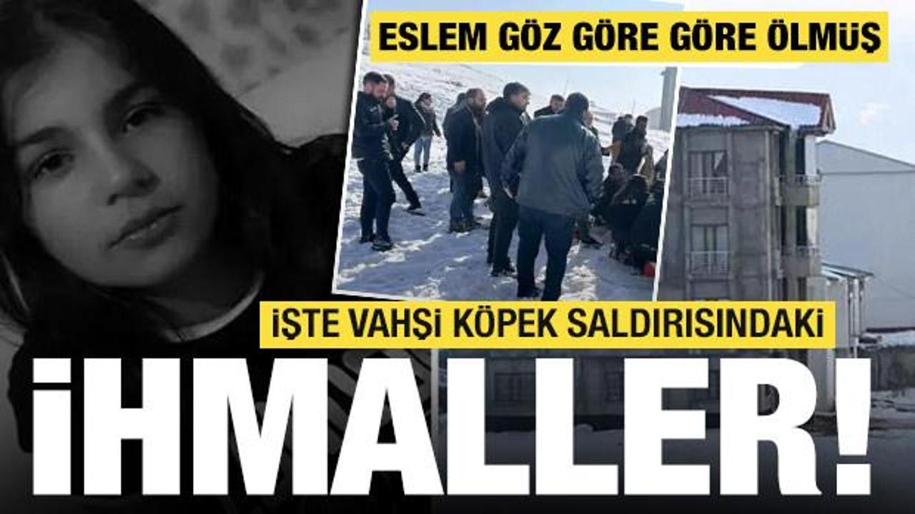 Son dakika... Hakkari'de k&ouml;pek saldırısında &ouml;len Eslem'le ilgili ihmaller ortaya &ccedil;ıktı