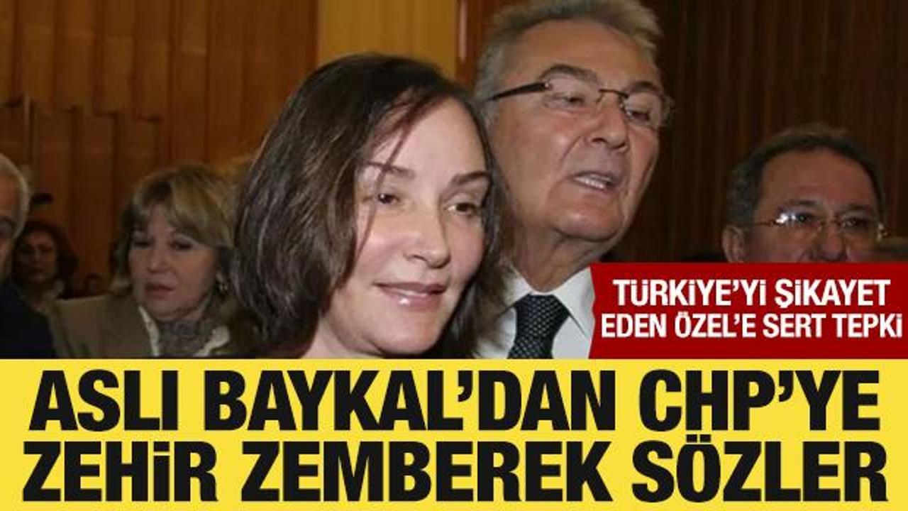 Aslı Baykal'dan CHP'ye zehir zemberek s&ouml;zler