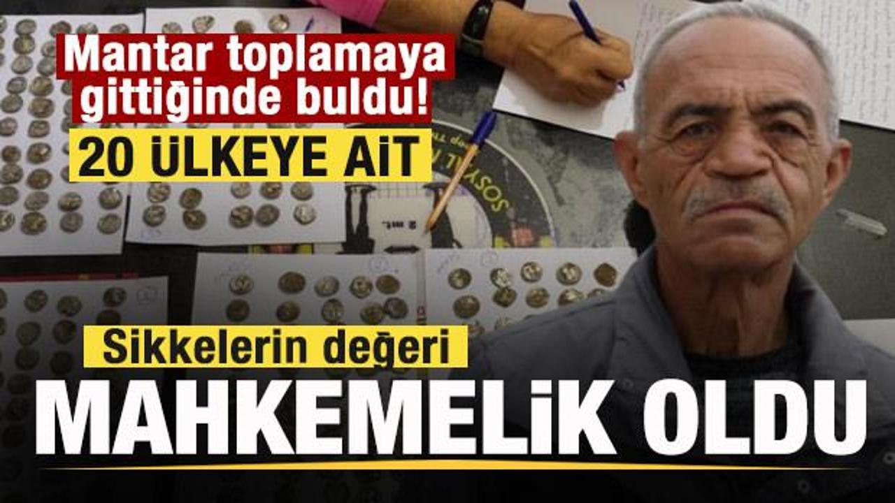 Mantar toplamaya gittiğinde buldu! 20 ayrı devlete ait: Sikkelerin değeri mahkemelik oldu
