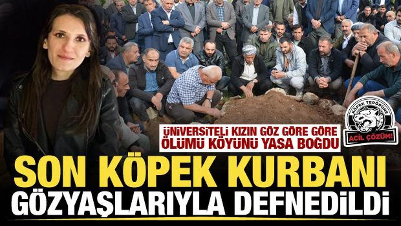 K&ouml;pek ter&ouml;r&uuml; kurbanı &uuml;niversiteli gen&ccedil; kız g&ouml;zyaşlarıyla toprağa verildi