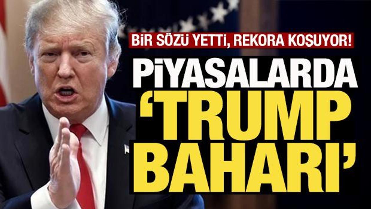 Piyasalarda 'Ge&ccedil;ici Trump baharı' Rekora yaklaştı