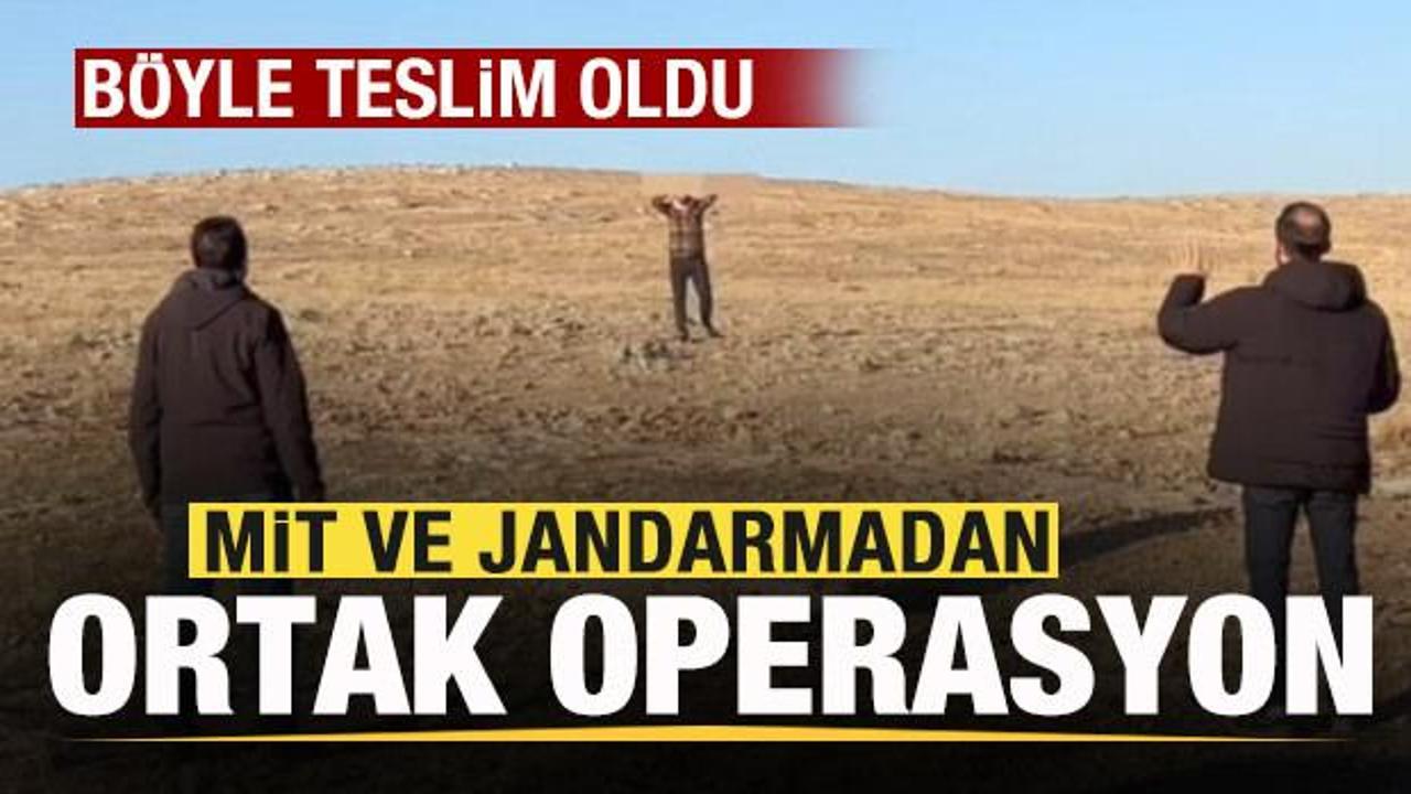 Jandarma ve MİT'ten Suriye'nin kuzeyinde operasyon! Sabotajcı teslim oldu