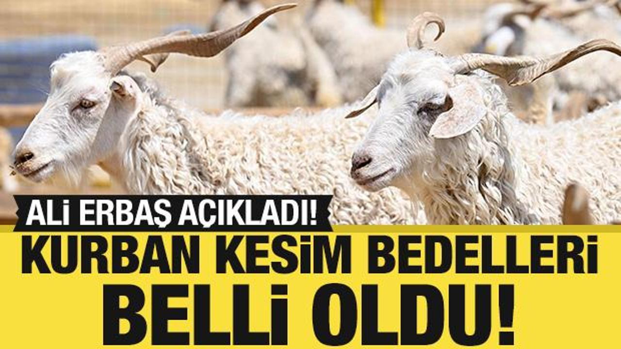 Ali Erbaş a&ccedil;ıkladı! Kurban kesim bedelleri belli oldu