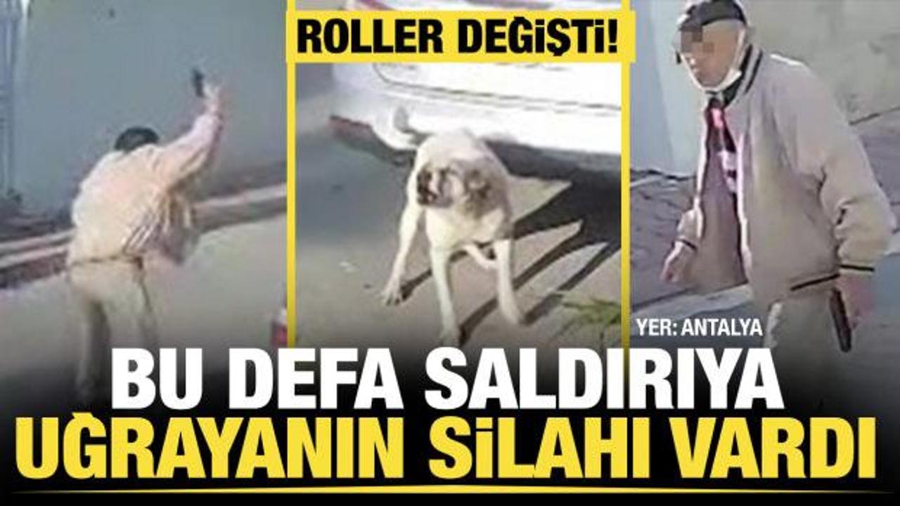 Emekli polis, kendisine saldıran k&ouml;peği vurdu
