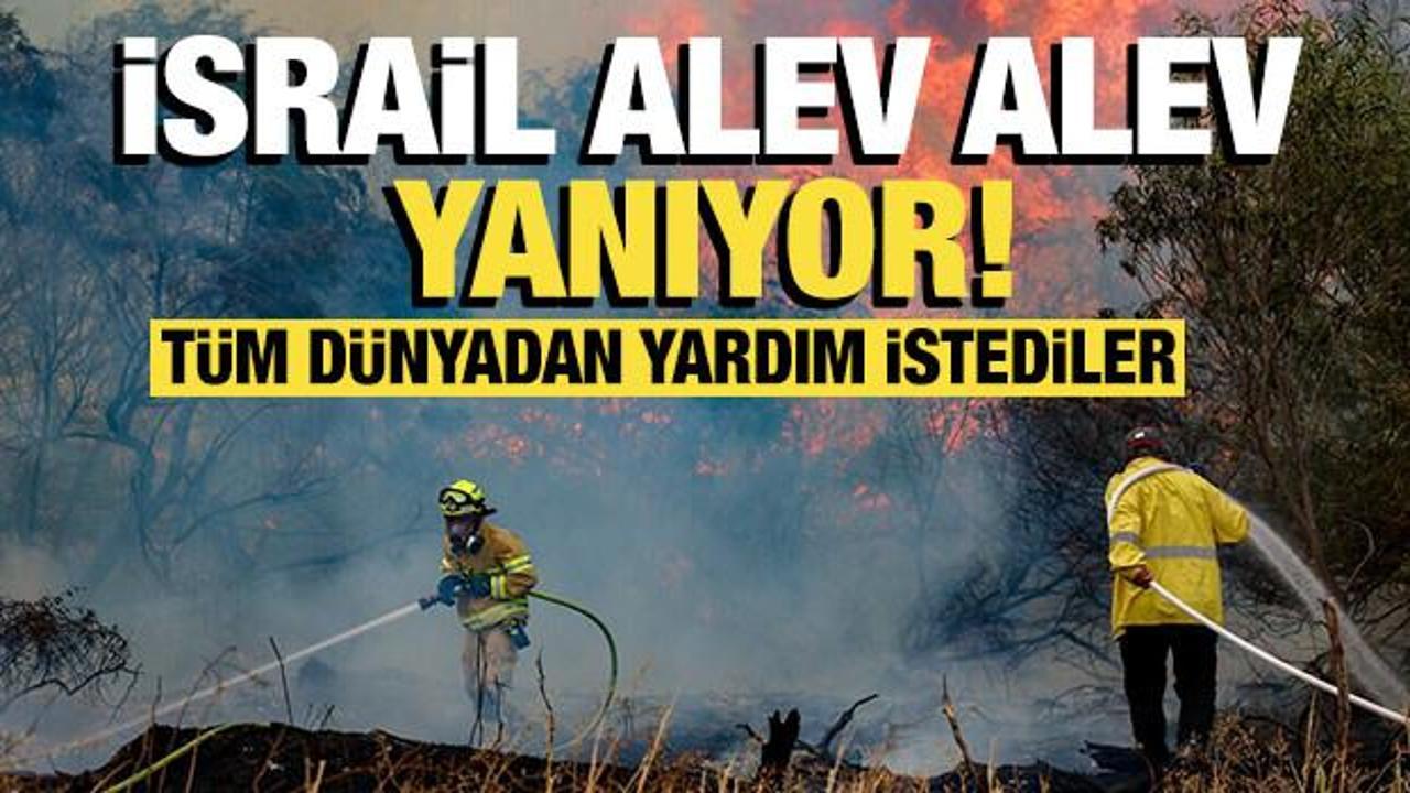 İsrail'deki tarihi yangın artarak devam ediyor: T&uuml;m d&uuml;nyadan yardım istediler!