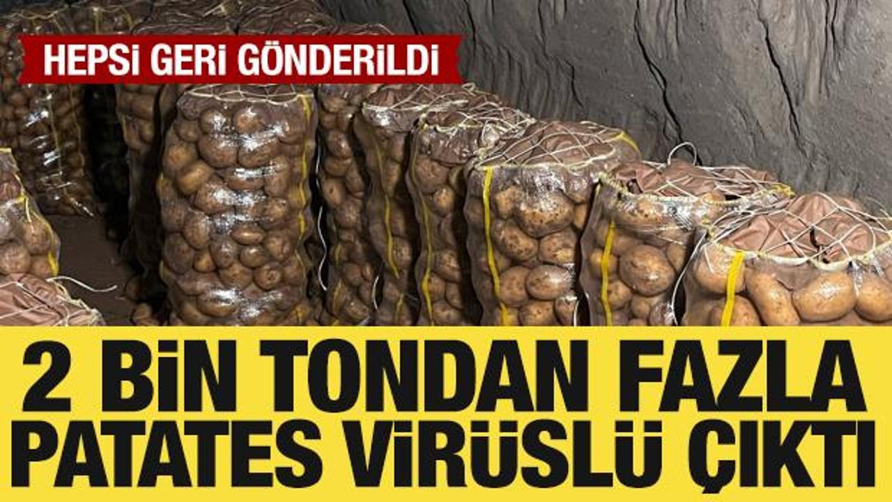  Hepsi geri g&ouml;nderildi: Yurt dışından gelen 2 bin tondan fazla patates vir&uuml;sl&uuml; &ccedil;ıktı