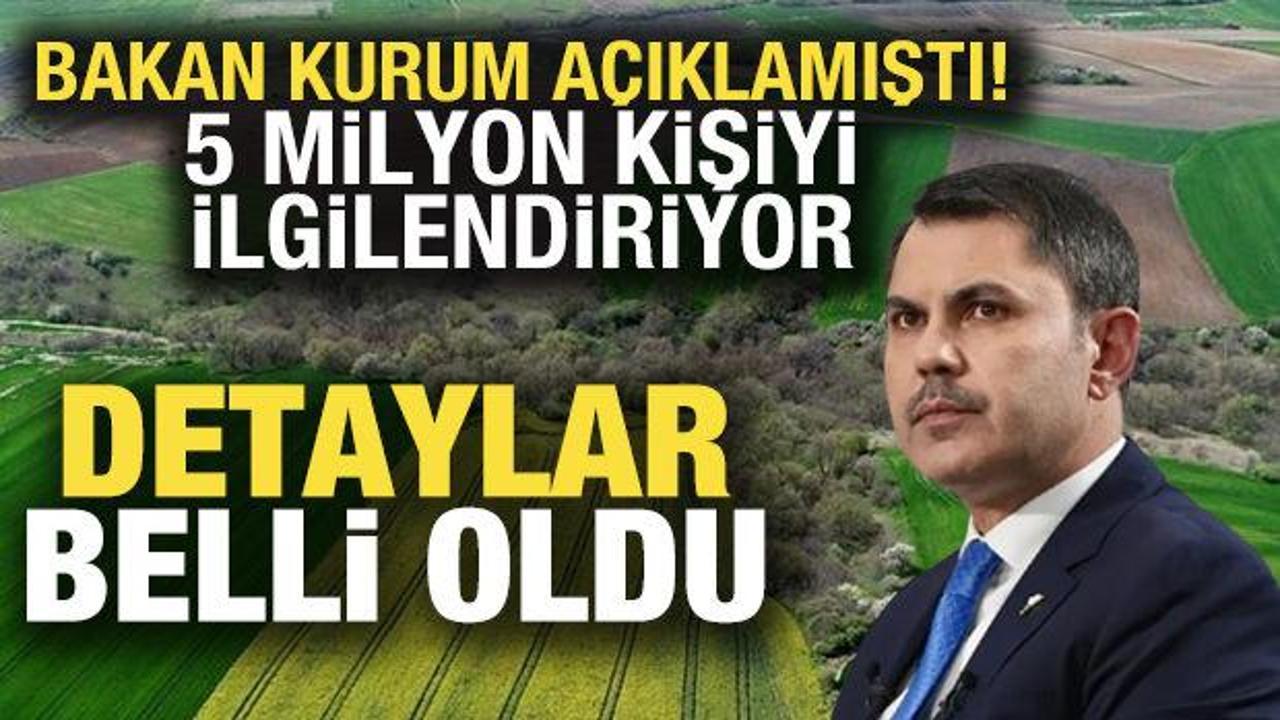 2B arazilerinde mülkiyet hakları ve tapu süreci nasıl işleyecek? Detaylar belli oldu