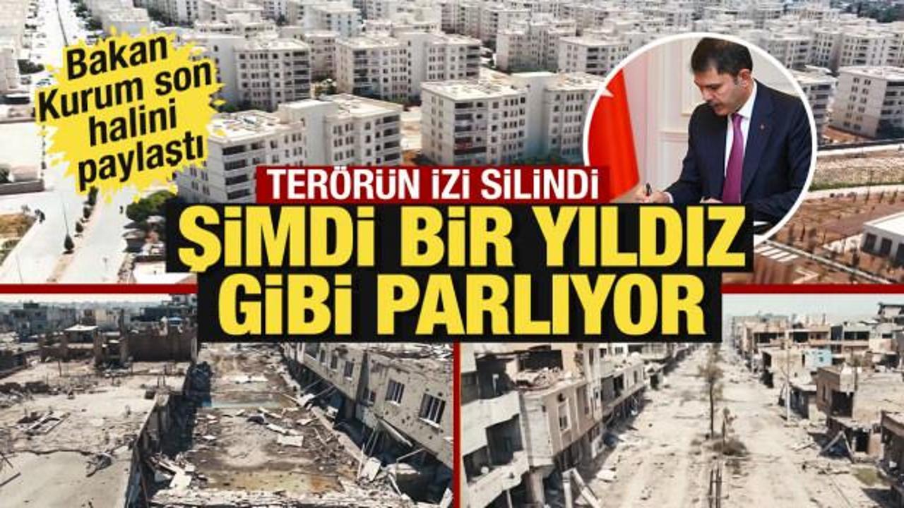 Bakan Kurum: Nusaybin bir yıldız gibi parlıyor!