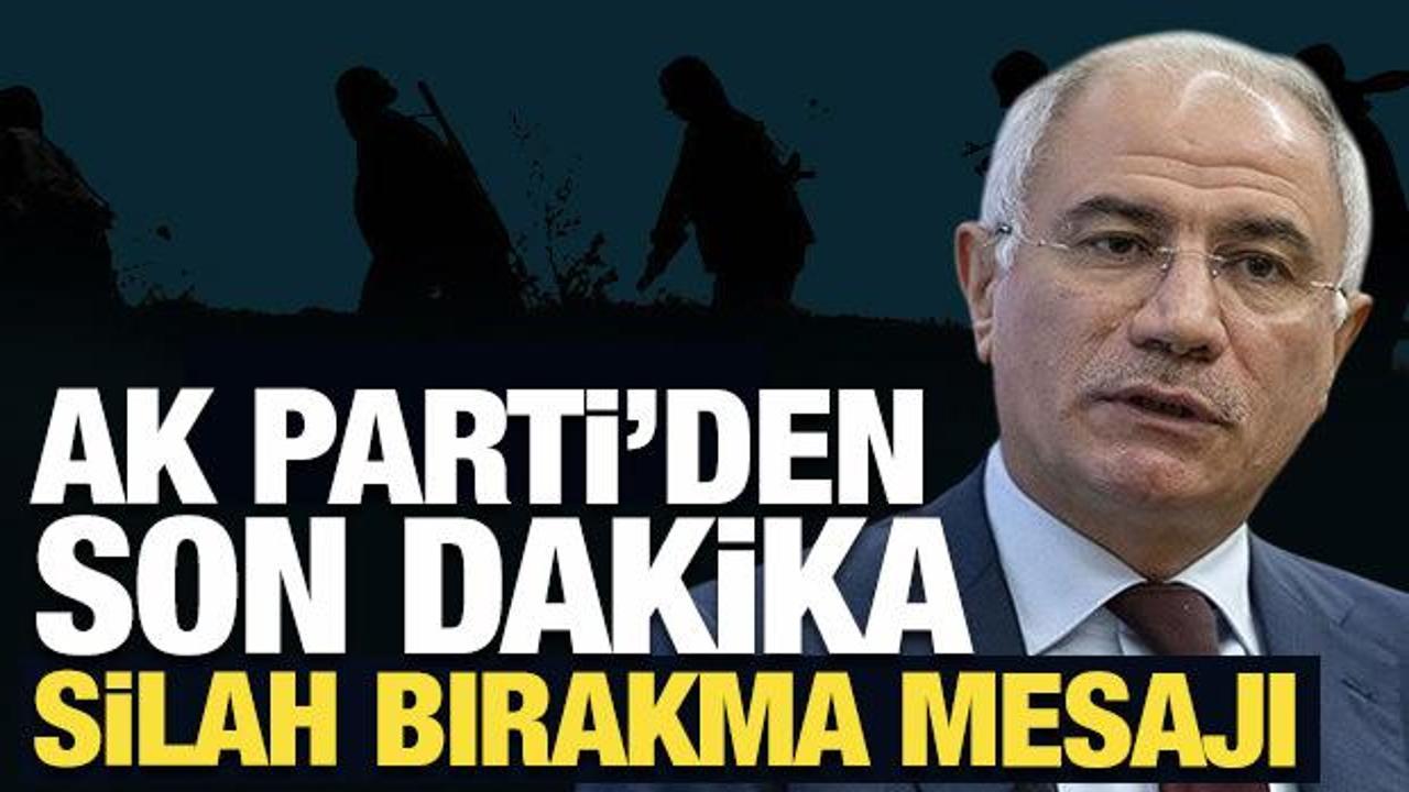 Terör örgütü silahları ne zaman bırakacak? AK Partili Ala'dan açıklama!