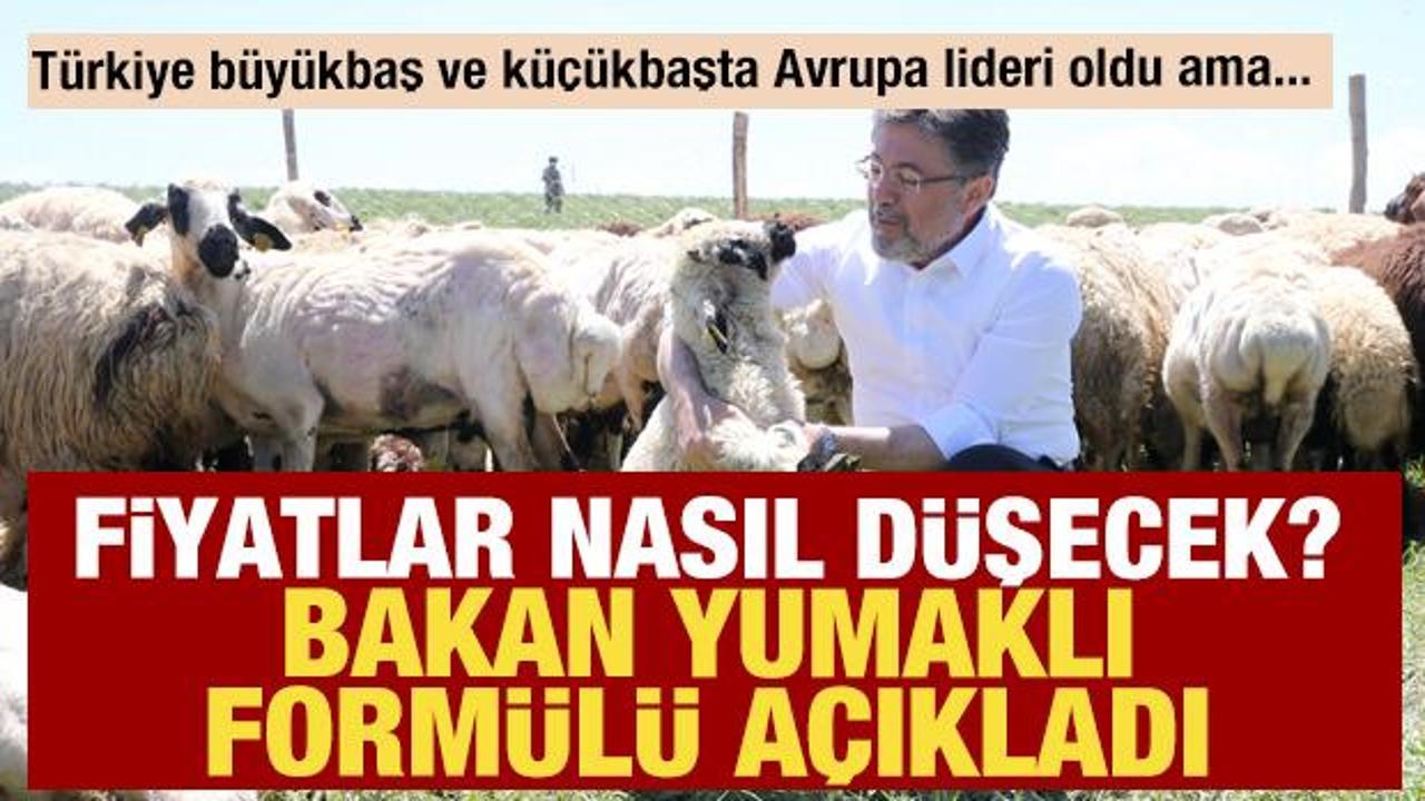 Türkiye'de et fiyatları nasıl düşecek? Bakan Yumaklı formülü açıkladı