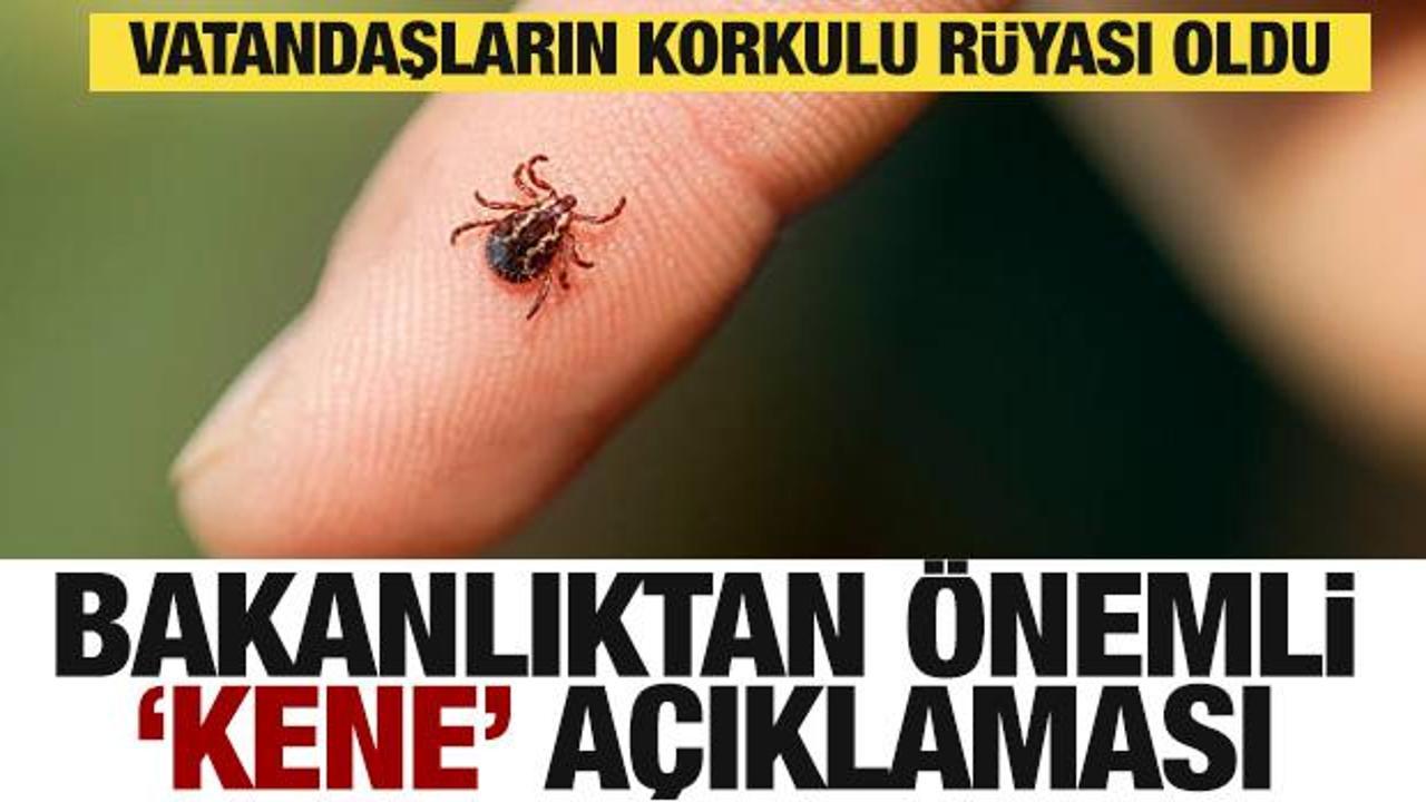 Sağlık Bakanlığı'ndan son dakika 'Kene' açıklaması