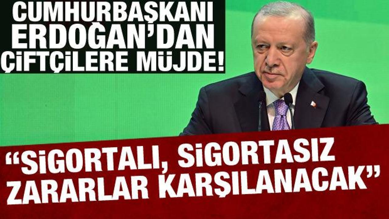 Cumhurbaşkanı Erdoğan'dan çiftçilere müjde! 'Sigortalı, sigortasız zararlar karşılanacak'