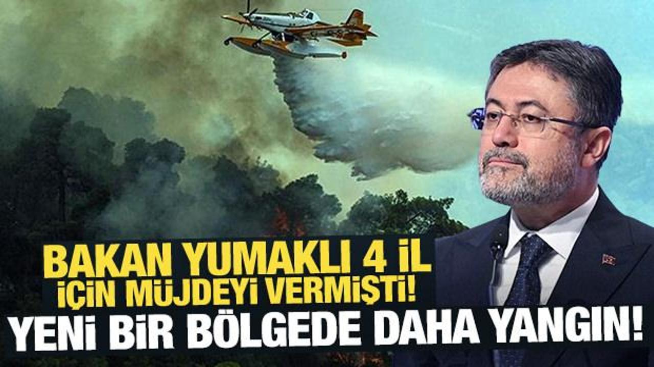 Bakan Yumaklı'dan orman yangını a&ccedil;ıklaması! İşte kontrol altına alınan yerler
