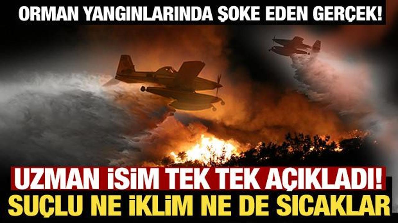 Orman yangınlarında şoke eden gerçek! Uzman isim tek tek açıkladı