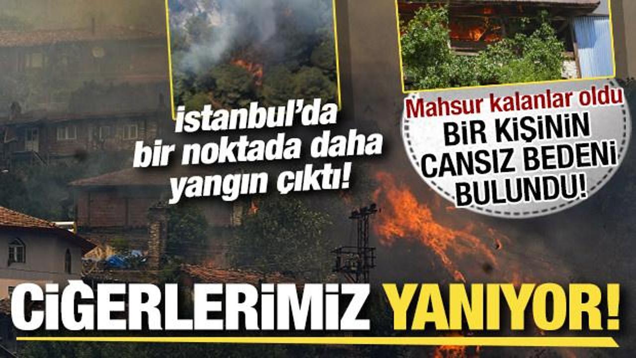Orman yangınlarında son durum! İstanbul'da iki farklı noktada yangın