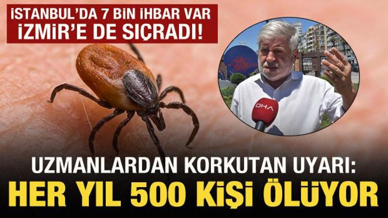 İstanbul'dan sonra İzmir'e sı&ccedil;radı! Her yıl 500 kişi &ouml;l&uuml;yor!